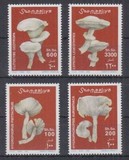 [Mushrooms, type AKA]