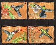 [Caribbean Hummingbirds, tipas DNN]