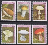 [Fungi, tip AST]