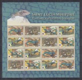 [WWF - Saint Lucia Whiptail, 類型 ANJ]