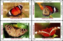 [Butterflies of Bangladesh, प्रकार AMR]