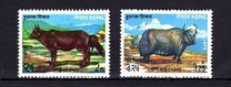 [Domestic Animals, type FN]