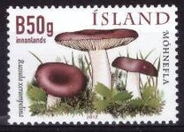 [Flora - Mushrooms, 유형 APA]