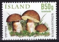 [Flora - Mushrooms, ประเภท APG]