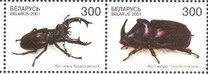 [Beetles, típus MS]