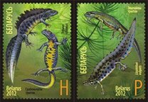 [Newts - Joint Issue with Russia, type AFV]