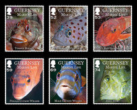 [Guernsey Marine Life - Fish, Вид BAE]