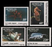 [Marine Life, loại XGB]