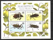 [Beetles, type AAG]