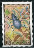 [Beetles, type XR]
