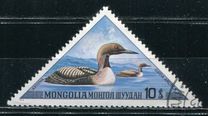 [Aquatic Birds, typ ABR]