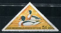 [Aquatic Birds, tyyppi ABQ]