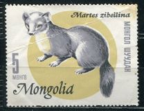 [Mongolian Fur Industry, 유형 NC]