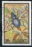[Beetles, type XP]