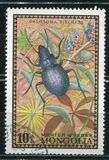 [Beetles, type XP]