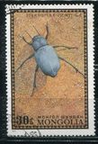 [Beetles, type XR]