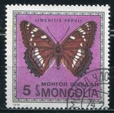 [Butterflies, Tüüp ACW]