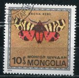 [Butterflies, Tüüp ACX]