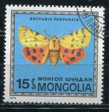 [Butterflies, Tüüp ACY]