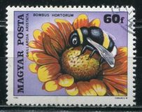 [Insects Polinating Flowers, tip DUD]