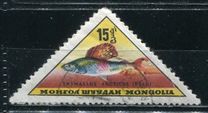 [Fish, տեսակ JM]