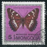 [Butterflies, Tüüp ACW]