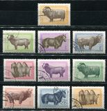 [Mongolian Animals, Вид CT]
