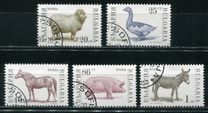 [Domestic Animals, type ELX]