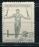 [The 9th Sokol Congress, type DN]