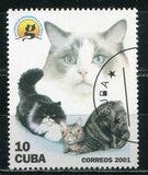 [Cats and Dogs, Tipi GLB]