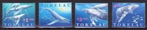 [Humpback Whales, type IK]