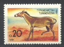 [Fauna, type B]