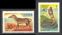[Fauna, type B]