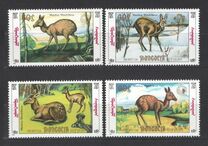 [Siberian Musk Deer, type BWE]