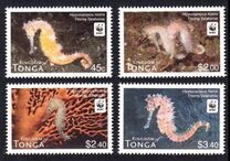 [Marine Life - Seahorses, type BKW]