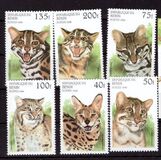 [Wild Cats, type TD]