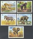 [Wild Animals, Tüüp RK]