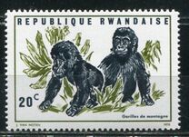 [Local Fauna - Mountain Gorilla, Tip IT]