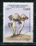 [Fungi, type UY]