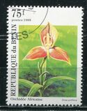 [Orchids, Scrivi RJ]