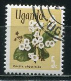 [Flowers, type AQ]