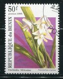 [Orchids, Scrivi RI]