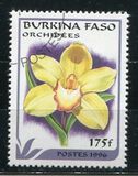 [Orchids, տեսակ PG]