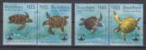 [Year of the Sea Turtle, 类型 QD]