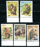 [Primates, type PN]