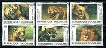 [Big Cats from around the World, type CUJ]