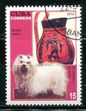 [Dogs & Art, tegund IEW]