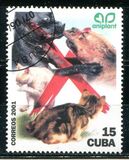 [Cats and Dogs, Tipi GLD]