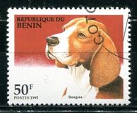 [Dogs, loại QB]