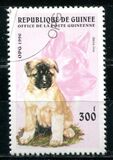 [Dogs, type ASH]